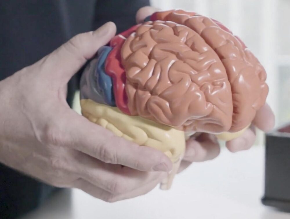 Interactive music for the brain